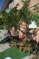 /album/immagini/giardino-esterno-jpg/